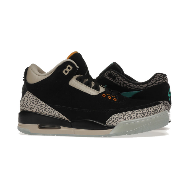 Air Jordan 3 Retro & Nike Air Max 1 atmos Pack