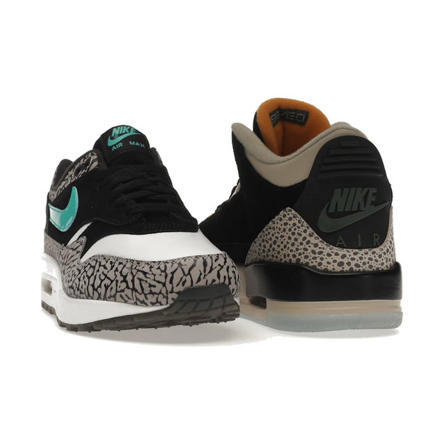 Air Jordan 3 Retro & Nike Air Max 1 atmos Pack