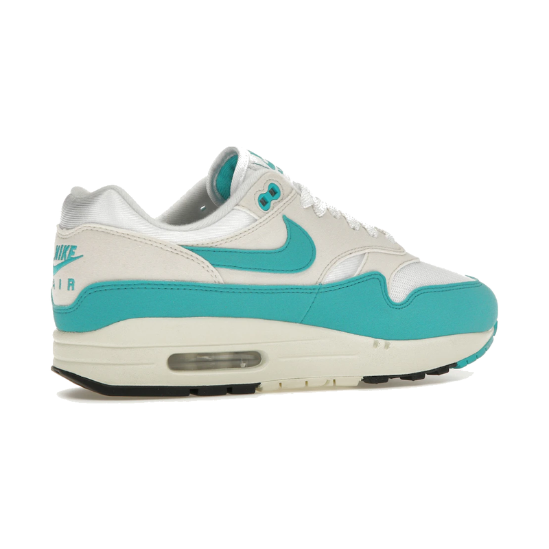 Nike Air Max 1 Dusty Cactus