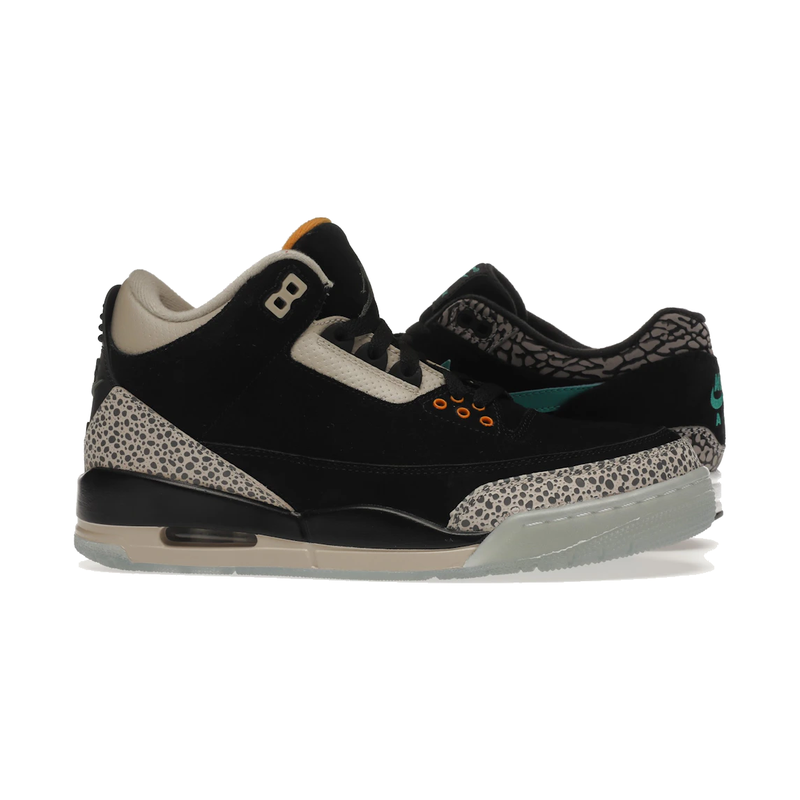 Air Jordan 3 Retro & Nike Air Max 1 atmos Pack