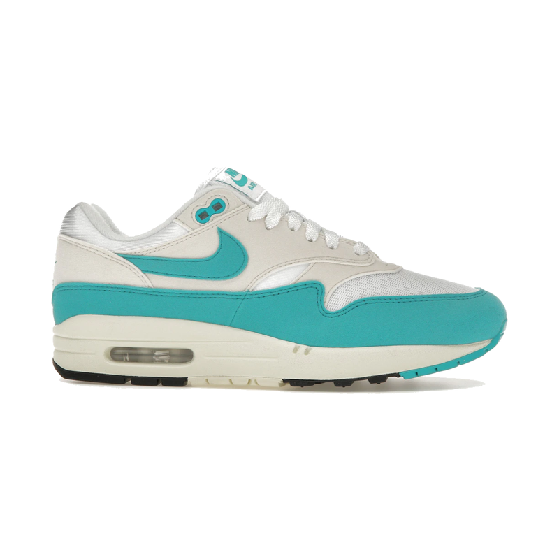 Nike Air Max 1 Dusty Cactus