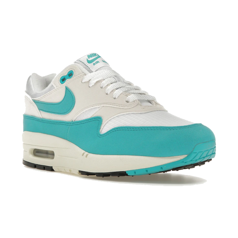 Nike Air Max 1 Dusty Cactus