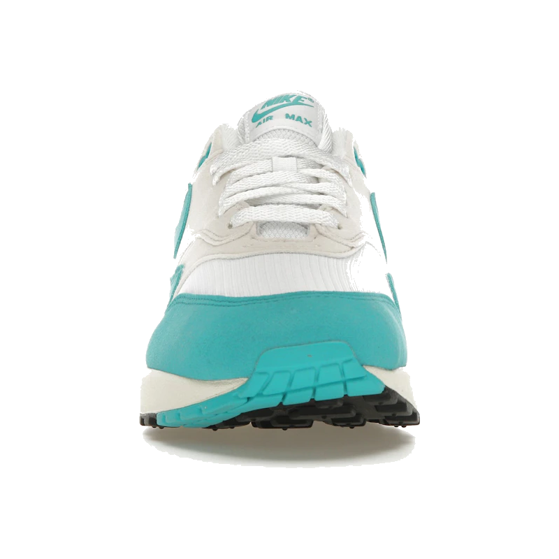 Nike Air Max 1 Dusty Cactus