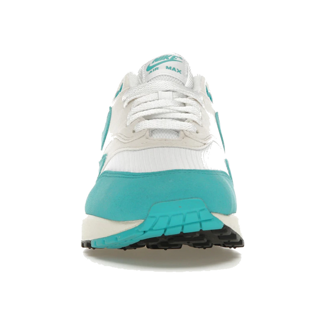 Nike Air Max 1 Dusty Cactus