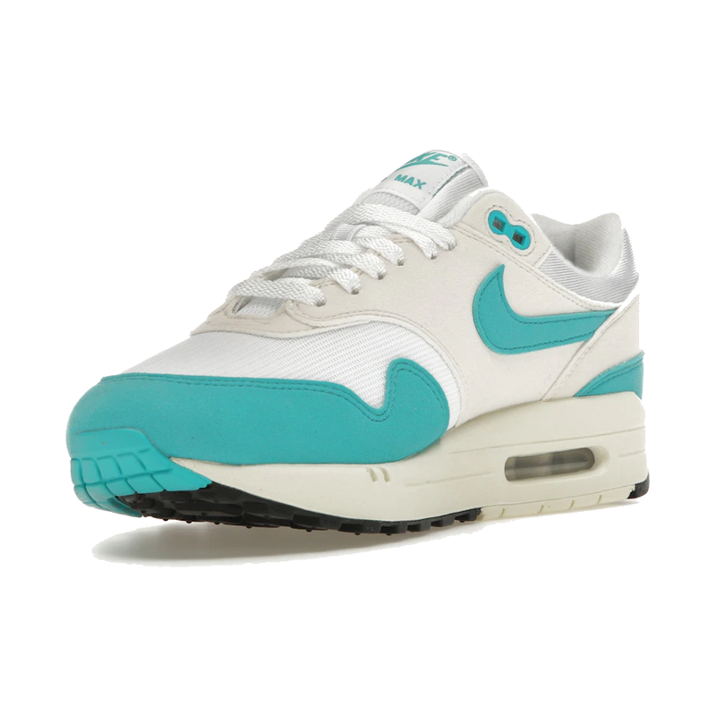Nike Air Max 1 Dusty Cactus