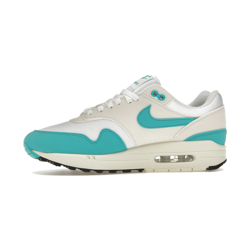 Nike Air Max 1 Dusty Cactus