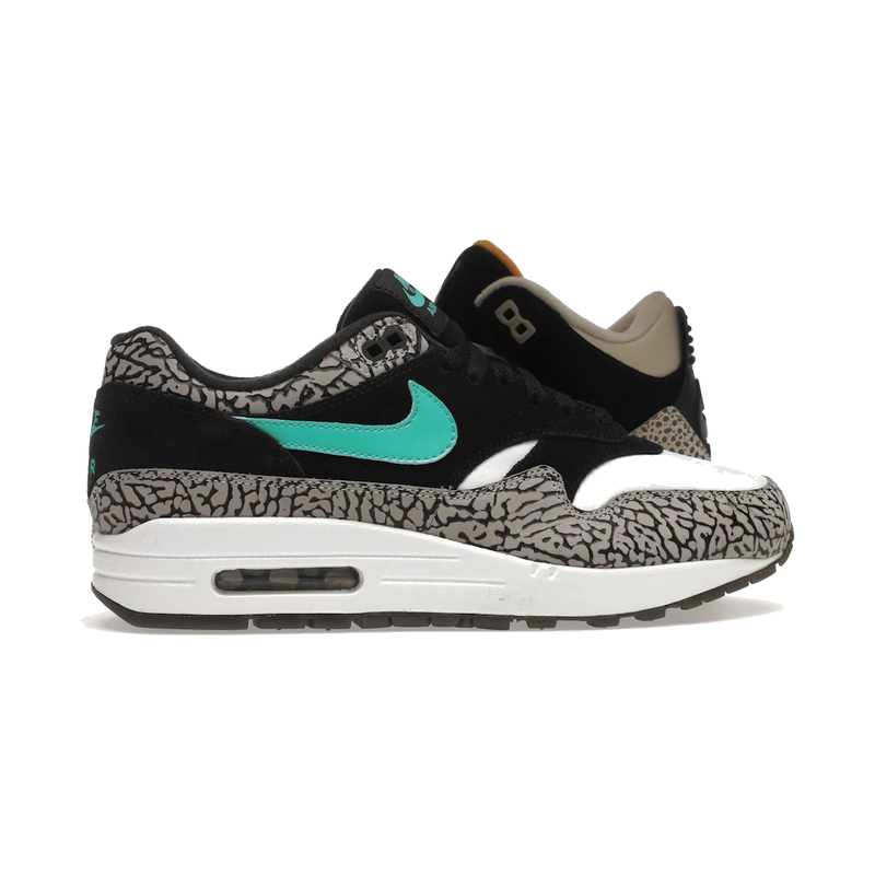 Air Jordan 3 Retro & Nike Air Max 1 atmos Pack