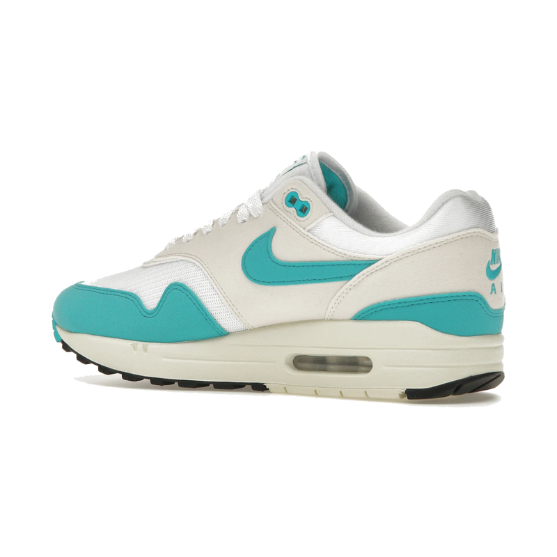Nike Air Max 1 Dusty Cactus