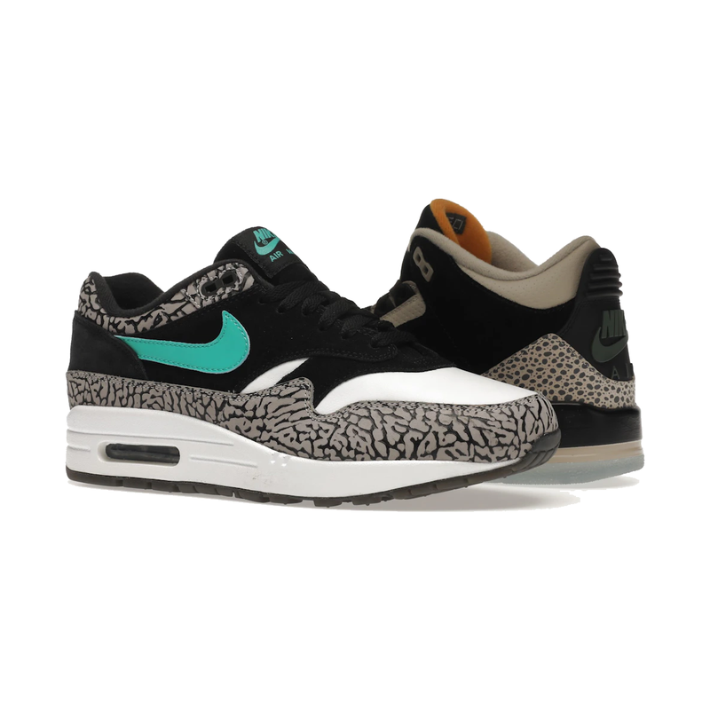 Air Jordan 3 Retro & Nike Air Max 1 atmos Pack