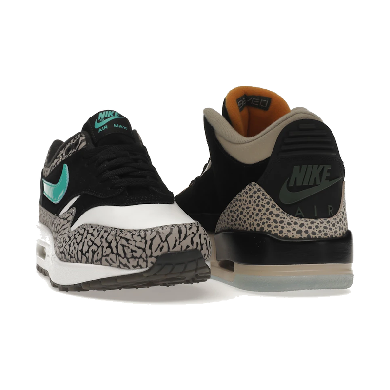 Air Jordan 3 Retro & Nike Air Max 1 atmos Pack
