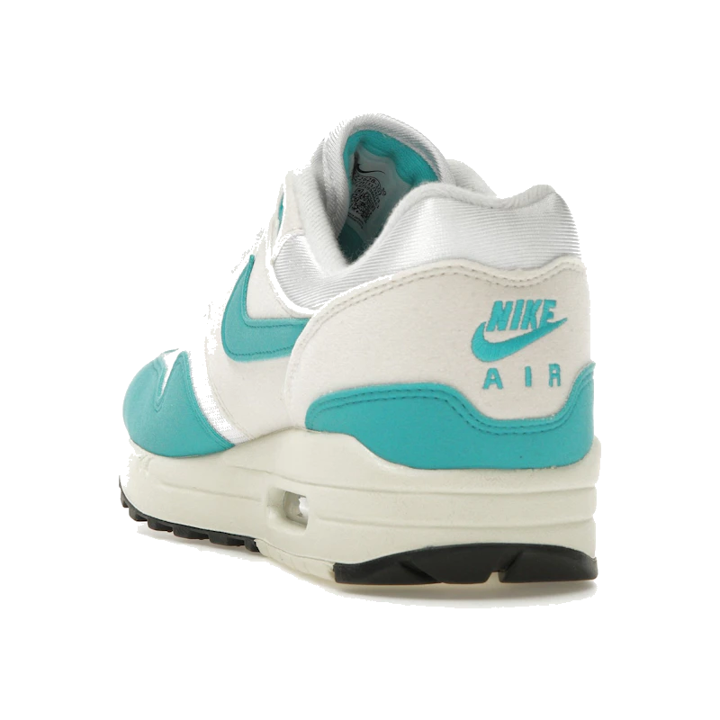 Nike Air Max 1 Dusty Cactus