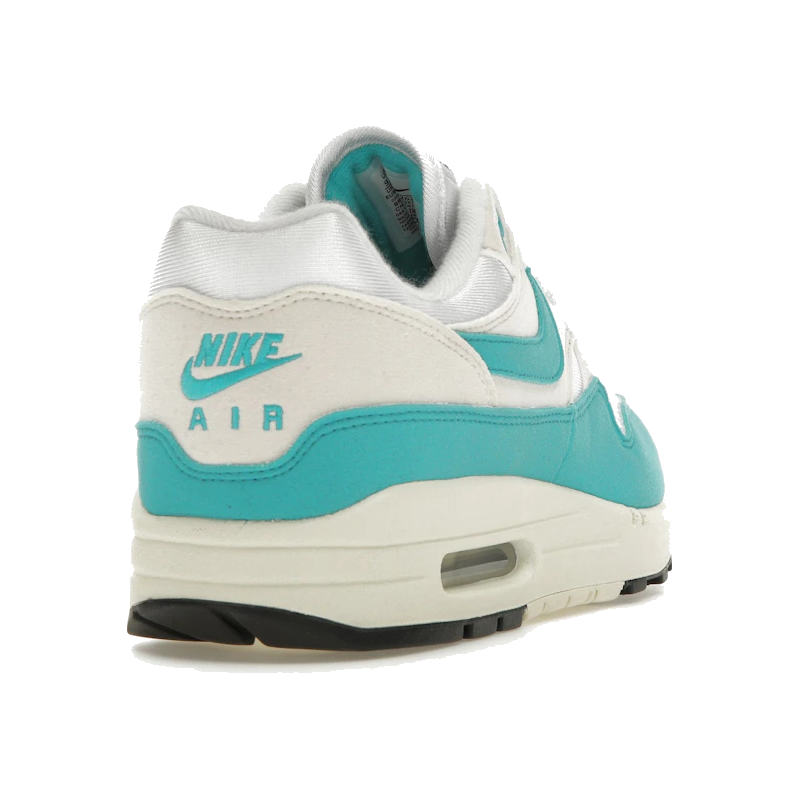 Nike Air Max 1 Dusty Cactus