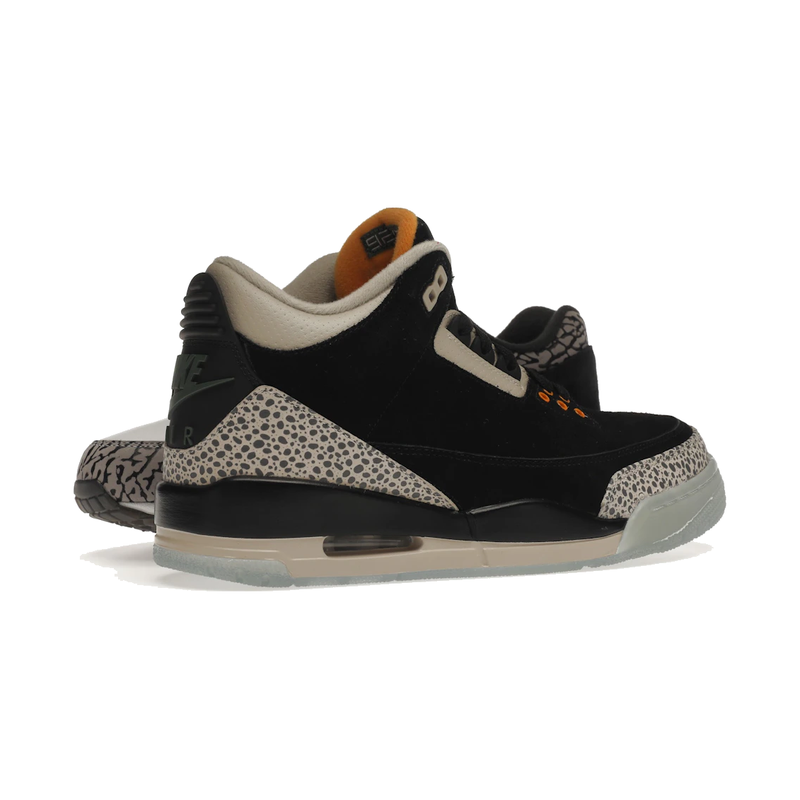 Air Jordan 3 Retro & Nike Air Max 1 atmos Pack